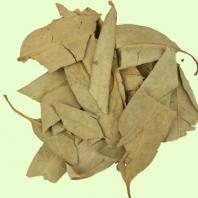 Эвкалипт, листья, 100 гр.