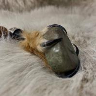 Подвеска Лапа Совы с камнем Турмалин